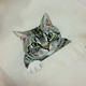 Illustration for article titled Internet Cats Make Boring Dress Shirts Better